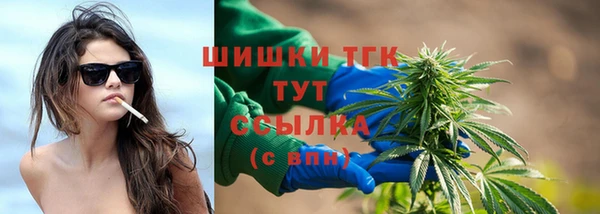 сатива Горняк