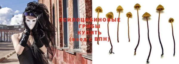 дурь Горно-Алтайск