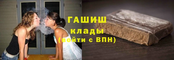 сатива Горняк