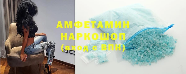 сатива Горняк