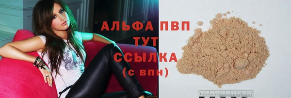 сатива Горняк