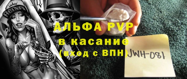 сатива Горняк