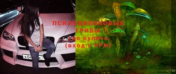 дурь Горно-Алтайск