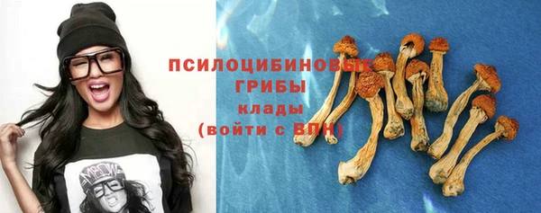 сатива Горняк