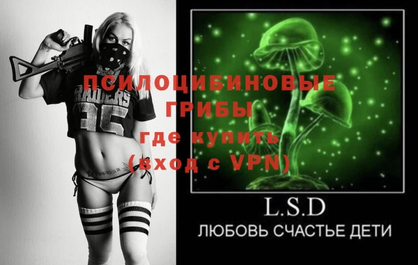 дурь Горно-Алтайск